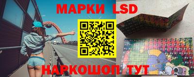 стаф Аша