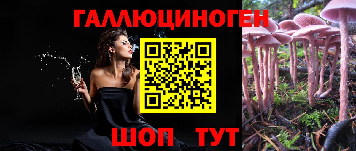 Галлюциногенные грибы MAGIC MUSHROOMS  Псилоцибиновые грибы MAGIC MUSHROOMS  Вход с VPN  Зеленогорск 